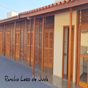 leão de Juda - MIG (20)