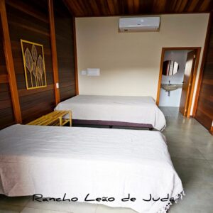 leão de Juda - MIG (6)
